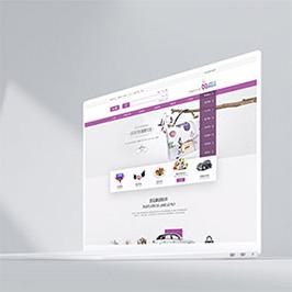 环球购网站设计